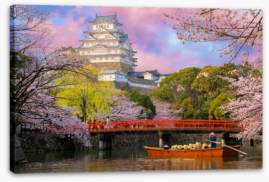 Himeji castle