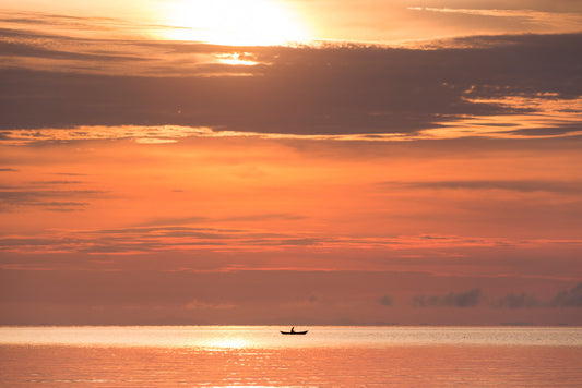 Sunsets / Rises