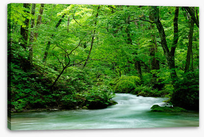 Fast forest flows