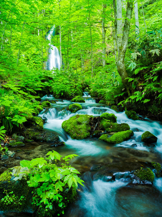 Waterfalls