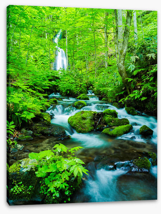 Waterfalls