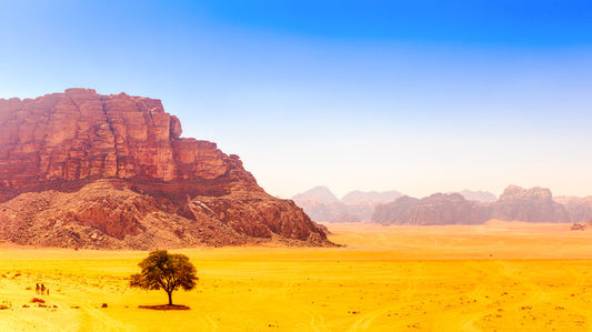 Desert