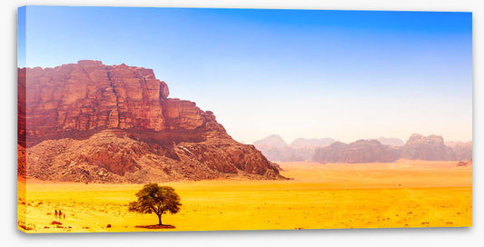 Desert