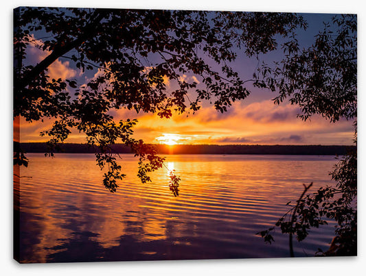 River glow ripples