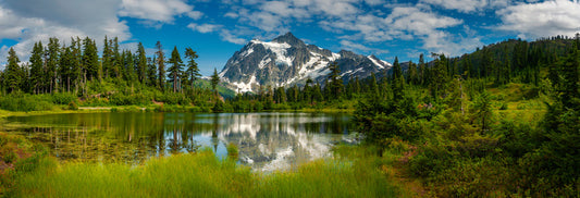 Picture Lake panorama