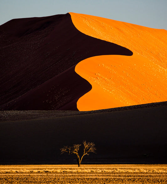 Desert