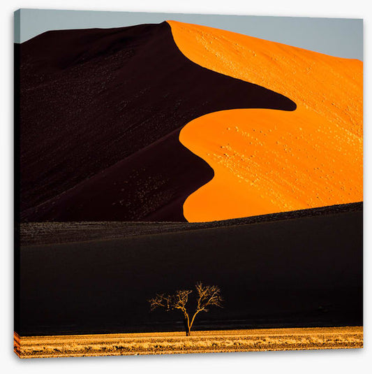 Desert