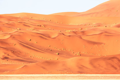 Desert
