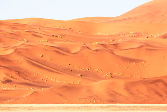 Desert