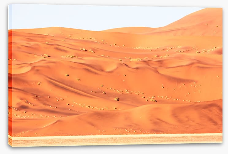 Desert