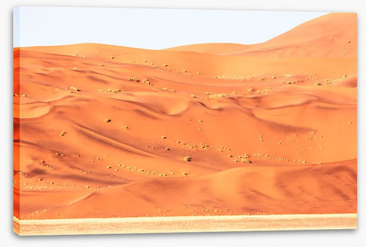 Desert