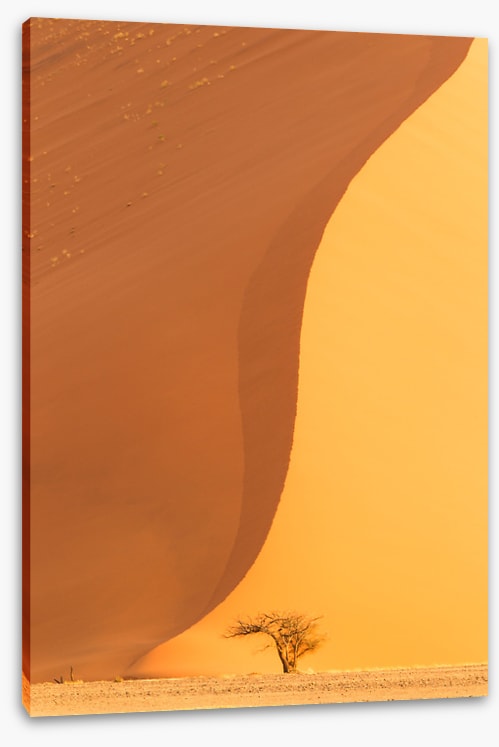 Dwarfed by the dune