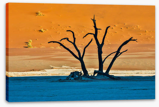 Africa