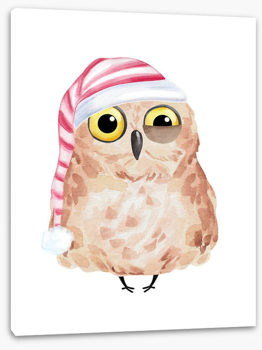 Sleepyhead owl