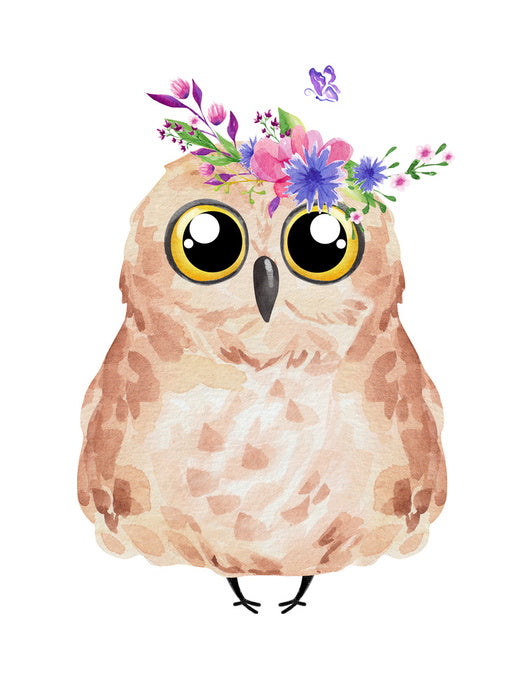Owls