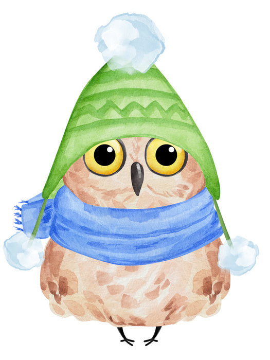 Owls