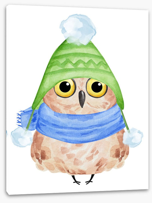 Owls