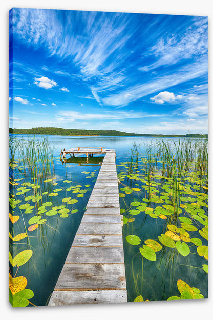 Over lily pad lake