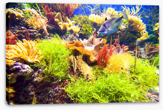 Underwater
