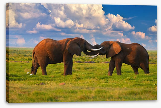 Elephant greeting