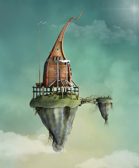 Sky fly