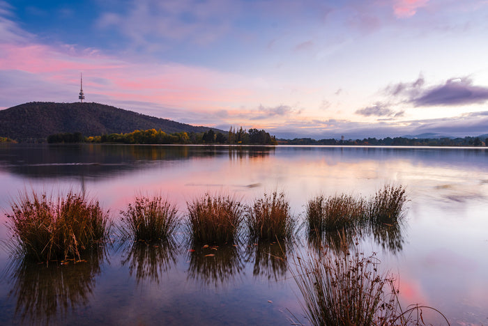 Calm in Canberra