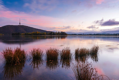 Calm in Canberra