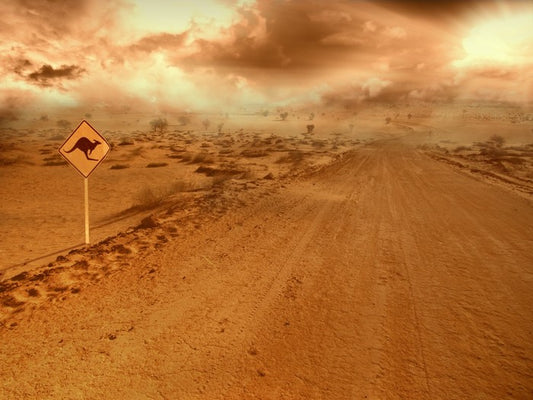 Into the sandstorm
