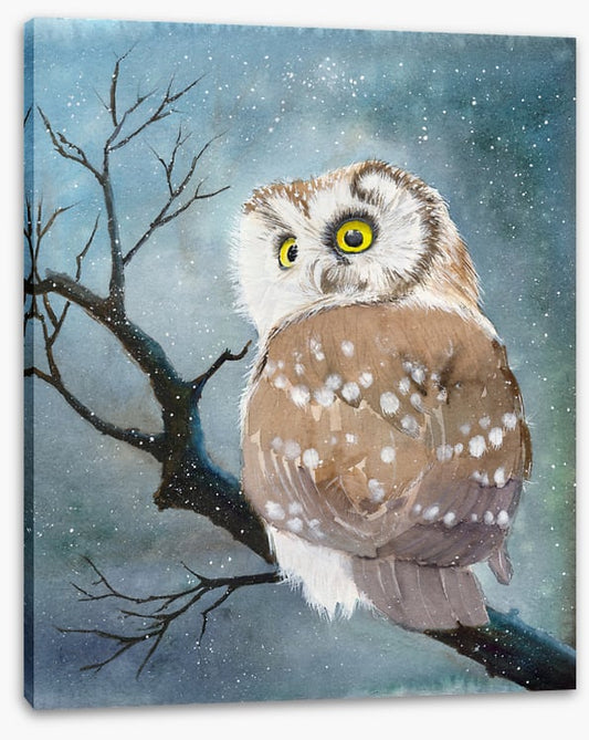 The night owl