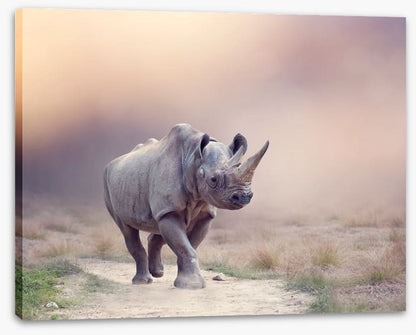 Rhino rumba