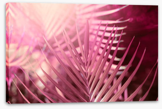 Palms in pink