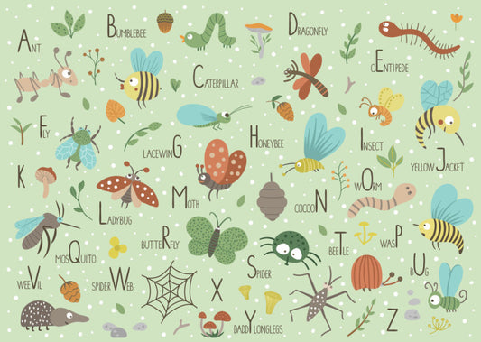 Insect alphabet