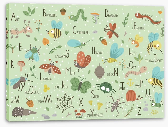 Insect alphabet
