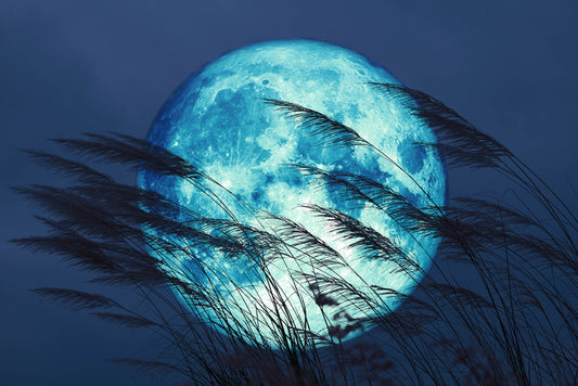 Bluegrass moon