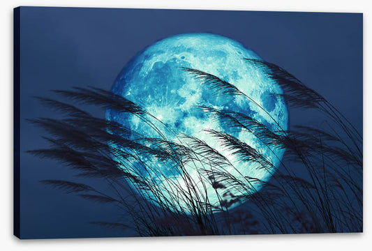 Bluegrass moon