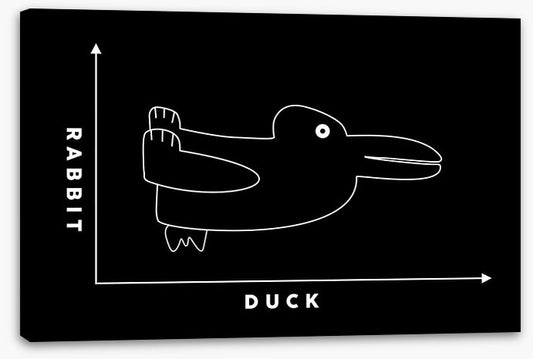 Rabbit duck