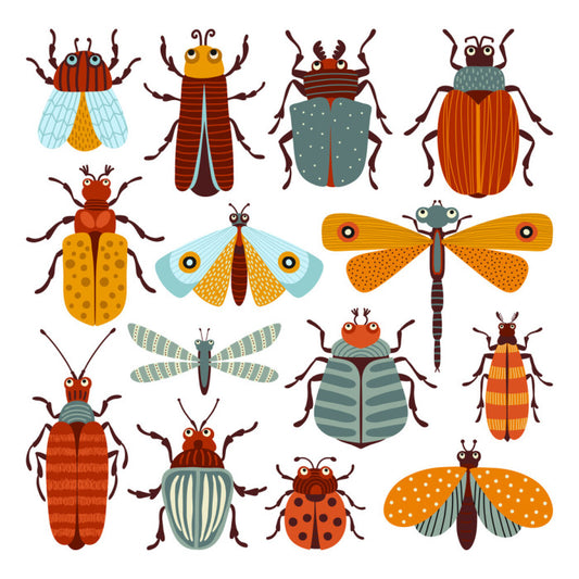 Beetles and butterflies