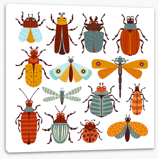 Beetles and butterflies