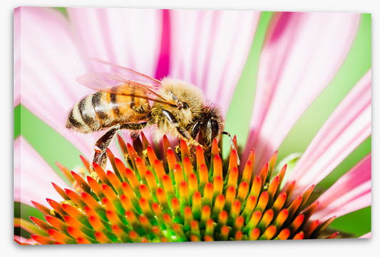 The pollinator