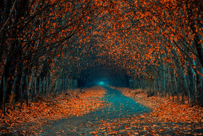 Follow the foliage