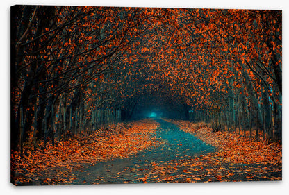 Follow the foliage