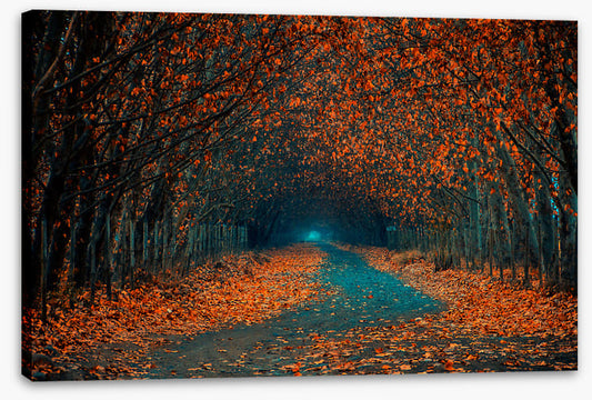 Follow the foliage