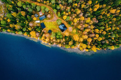 Beside the lake