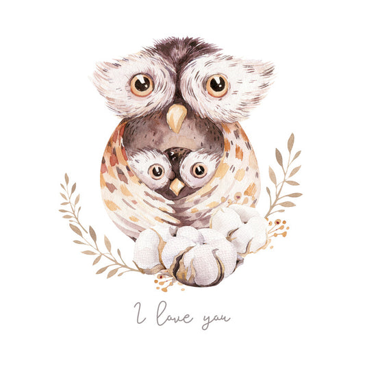 Owls