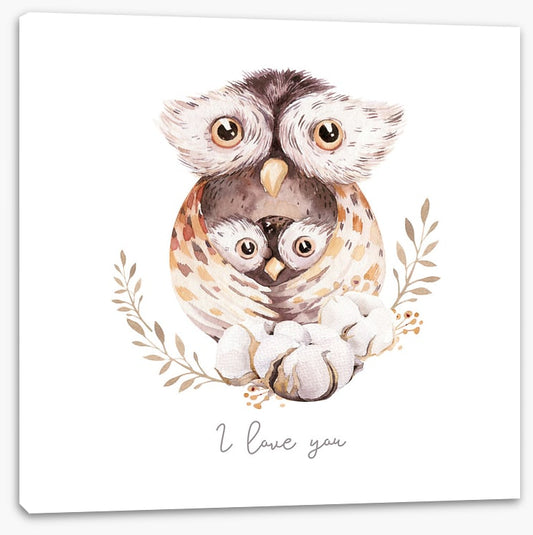 Owls