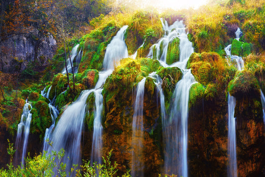 Way of the water
