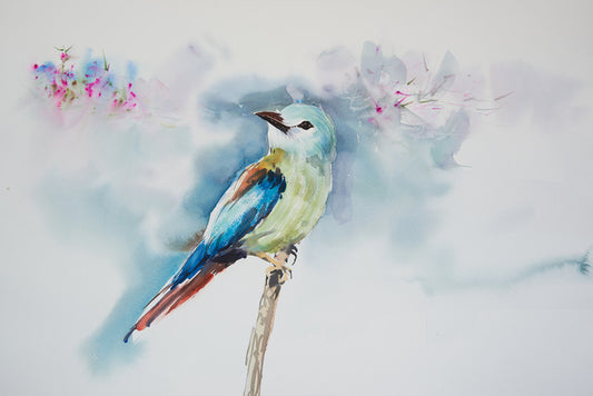 A little birdie
