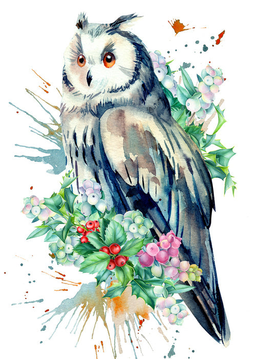 Birds