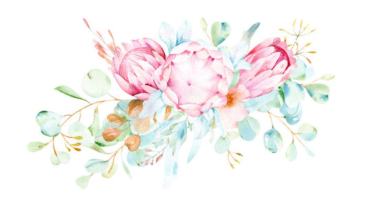 Pretty protea