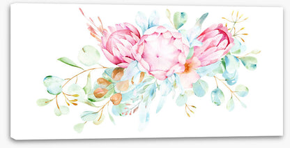 Pretty protea